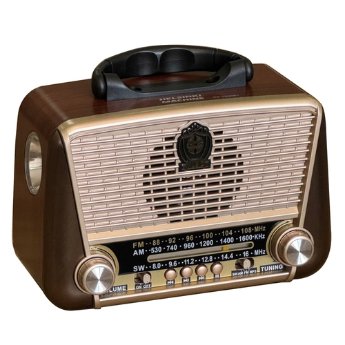 1366 Nostaljik Radyo
